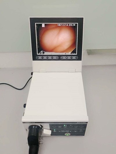 EVET3000 Series Veterinary Endoscope